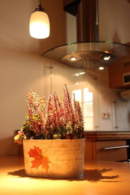 Komfort-Ferienwohnung "Zur Schmiedebruecke" โกรสเชอเนา ภายนอก รูปภาพ